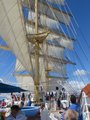 Royal Clipper under sail